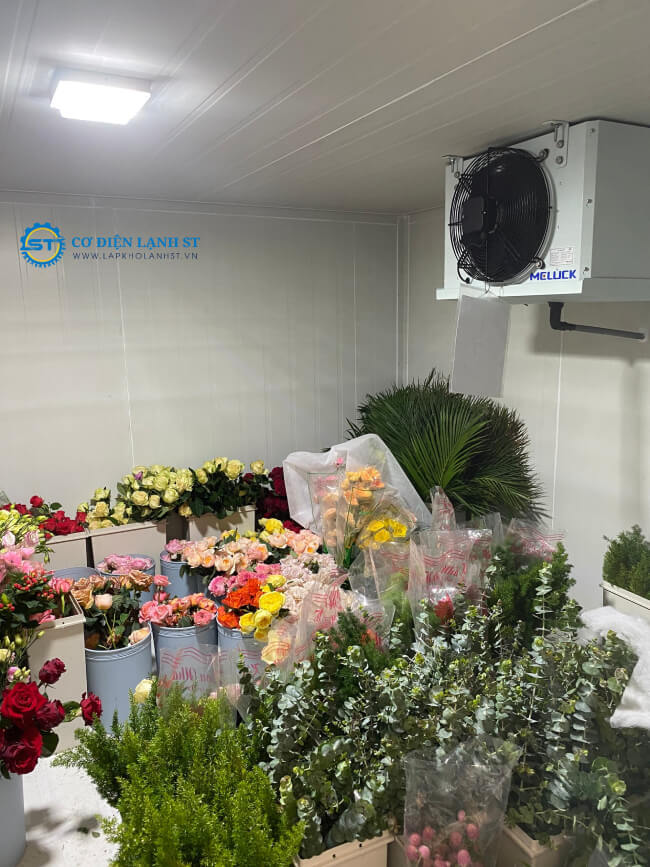 Lắp đặt kho lạnh bảo quản hoa tươi